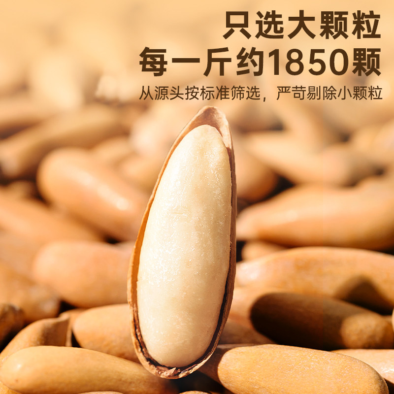 Every Fruit Time New Arrival Brazilian Pine Nuts 500g Large Kernels Afghan Hand-Peeled Pine Nuts New Year Nuts Roasted Snacks