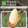 Every Fruit Time Roasted Pine Nuts 500g Original Flavor Northeast Non-Fried Hand-Peeled Open Pine Nuts New Year Nuts Snack
