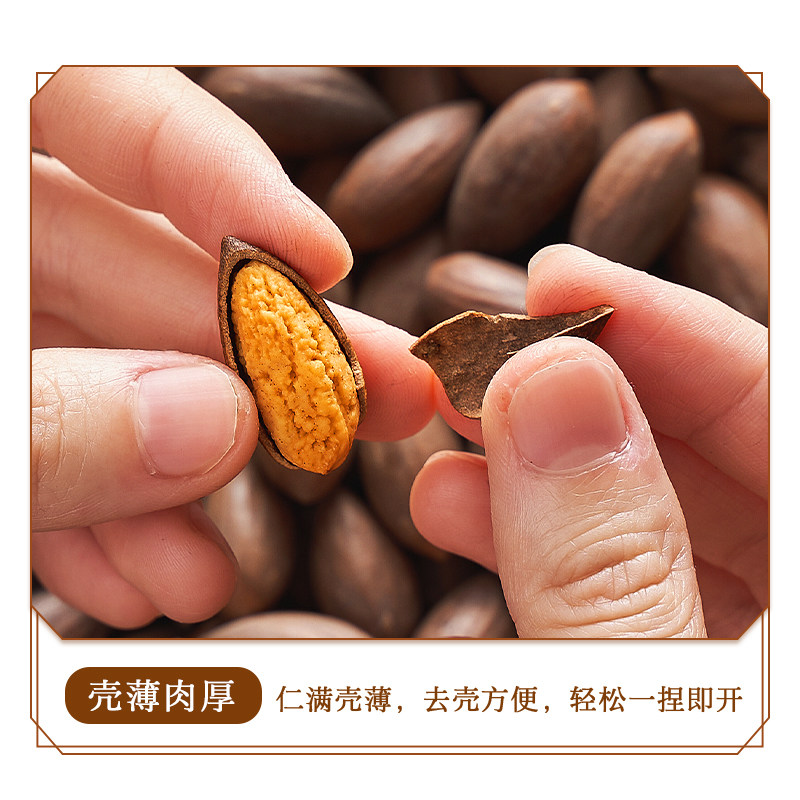 Every Fruit Time Old Tree Torreya Seeds 500g Canned New Stock Zhuji Fengqiao Specialty Nuts Dried Fruit Kernels Snacks