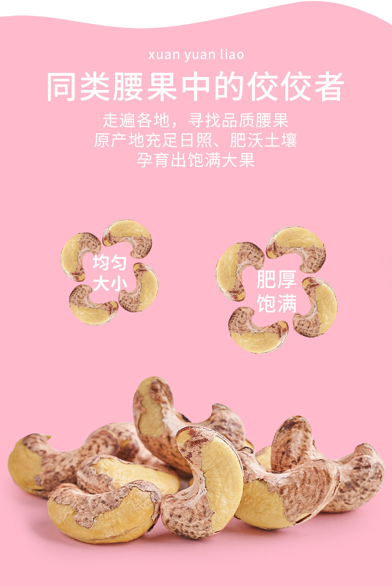 Purple Skin Cashew Kernels Roasted Salt Baked Non Fried Snack Nuts 160g Can quality and texture