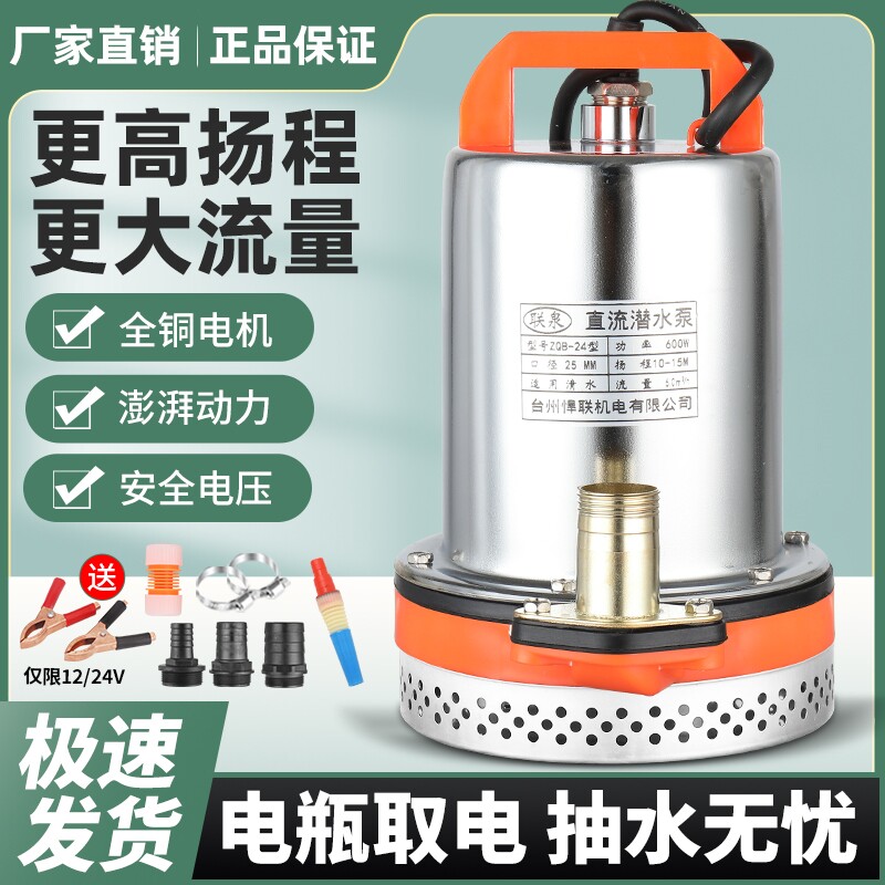 高扬程家用小型抽水泵电瓶车通用12V24V48V直流潜水泵转子电瓶泵