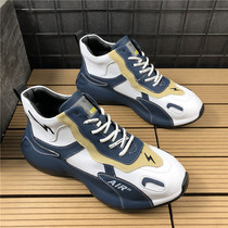 Mens sports casual shoes 2021 new spring heightening shoes Mens Korean version trendy thick bottom mens shoes net reddits