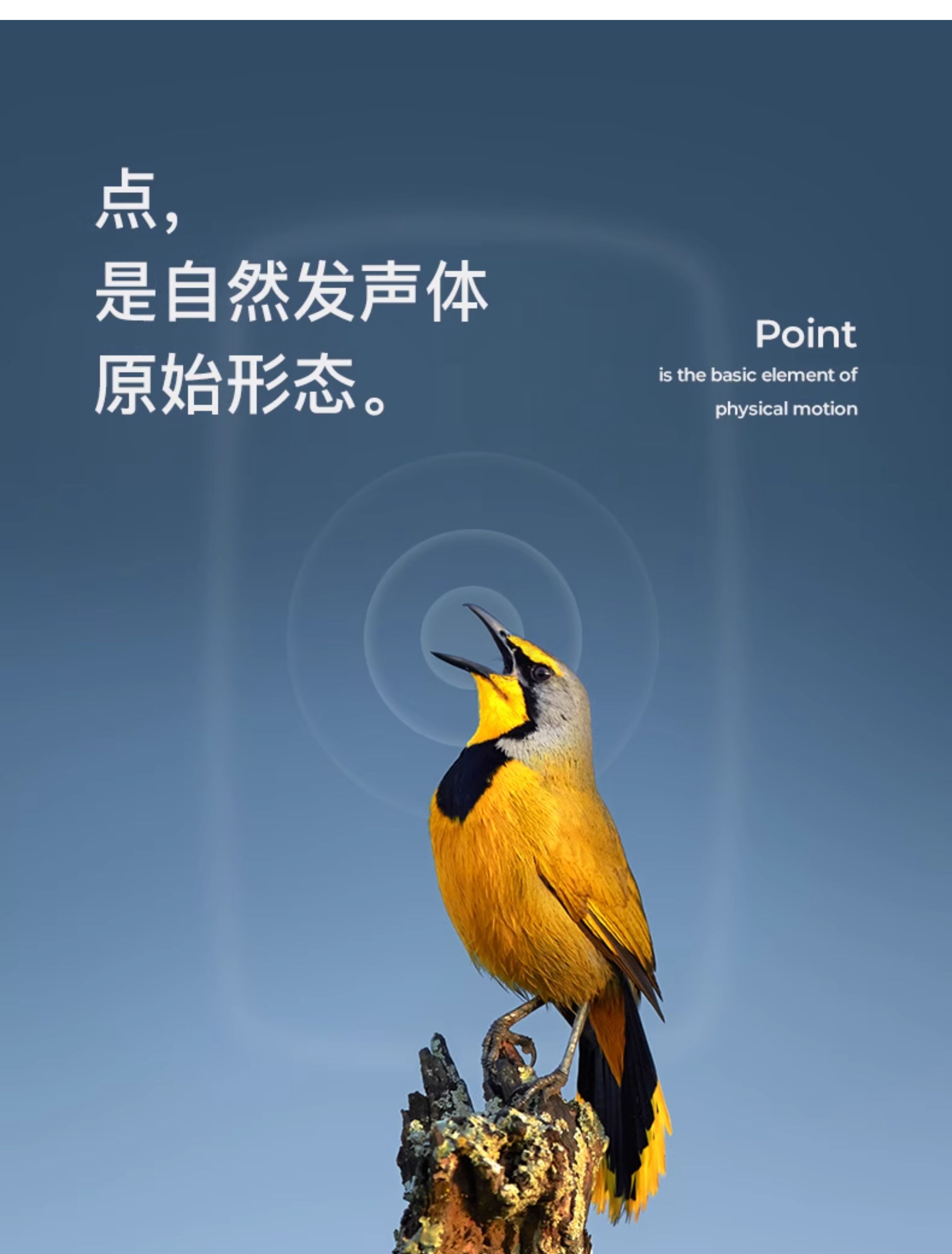 Genelec/真力 8341A插图1 Genelec/真力 8341A插图1