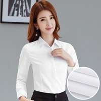 【Точечный воротник】 белая плоская линия длинные рукава