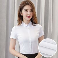 【Круглая шея】 белые плоские короткие рукава