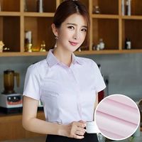 [Клык Лин] Розовые косой короткие рукава