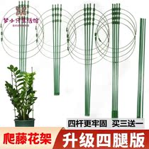 Crab claw orchid special bracket flower rack climbing rattan shelf flower pot plant rose clematis small climbing frame flower support rod