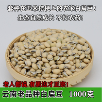 2024 Les lentilles du Yunnan comestibles de race blanche anciennes variétés avec des lentilles blanches brutes germent en 1000g