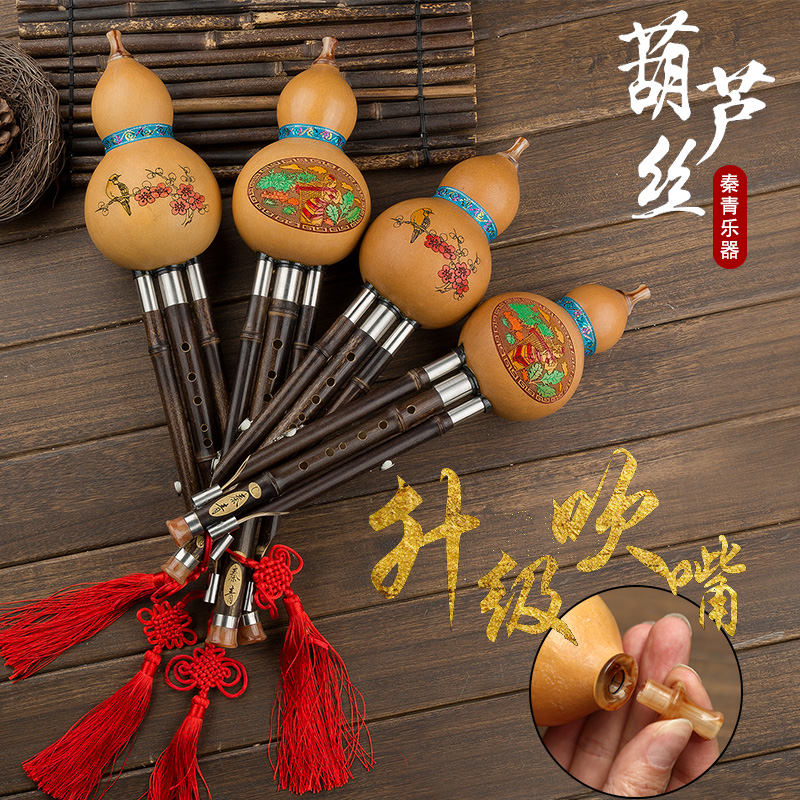 Qin Qing musical instrument hulusi c tune beginner primary school students children adult entry professional performance self-study drop b purple bamboo