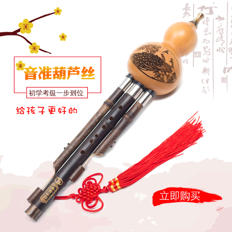Cucurbit Musical Instrument Beginnics Adult Elementary School Children Introductory male and female self-study c Cut B Tune Purple Bamboo Professional Play