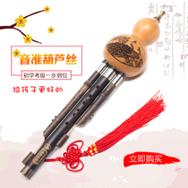 Gourd silk musical instruments for beginners adults primary school students children beginners men and women self-study c b Zizhu professional performance