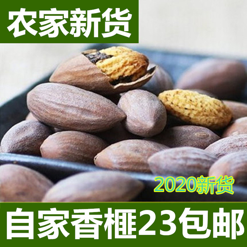 2020 new product Torreya Torreya Zhuji Fengqiao specialty premium torreya nut snacks with canned 500g