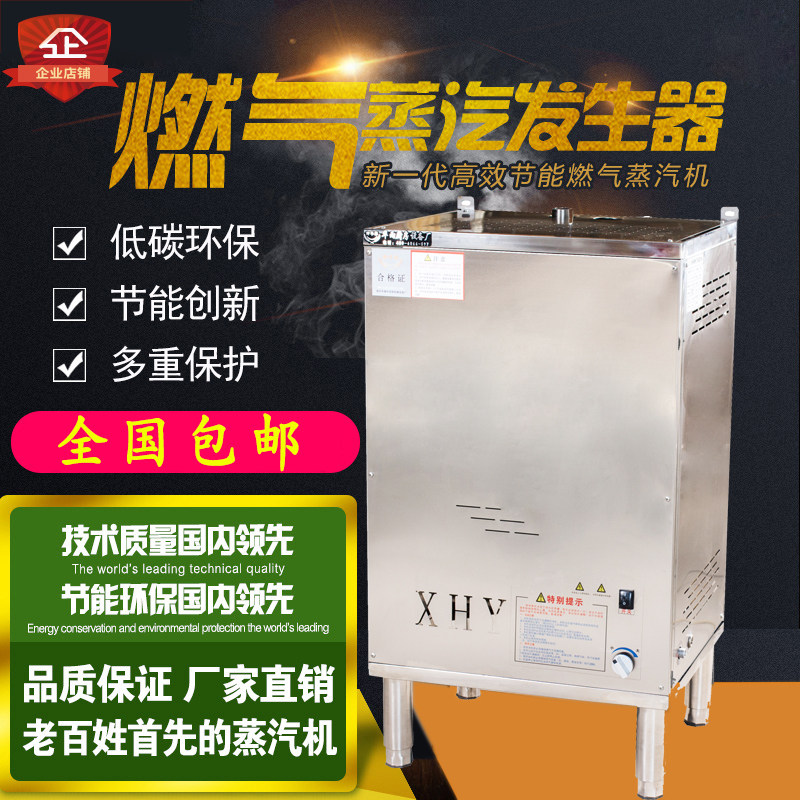 Gas Steam Generator Cooking Berries Steam Steamed Buns Winemaking Energy Saving Liquefied Gas Boiler Gas Mining Heating Boiler