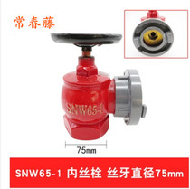 Indoor rotating pressure reducing fire hydrant SNZJ65 three copper fire hydrant 2 5-inch fire equipment fire hydrant