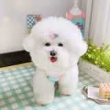 Новый японский и корейский стиль INS в стиле питомца Кошачья одежда Тедди Бишон Медведь VIP Yorkshire Ice Silk Cotton Dog Vest