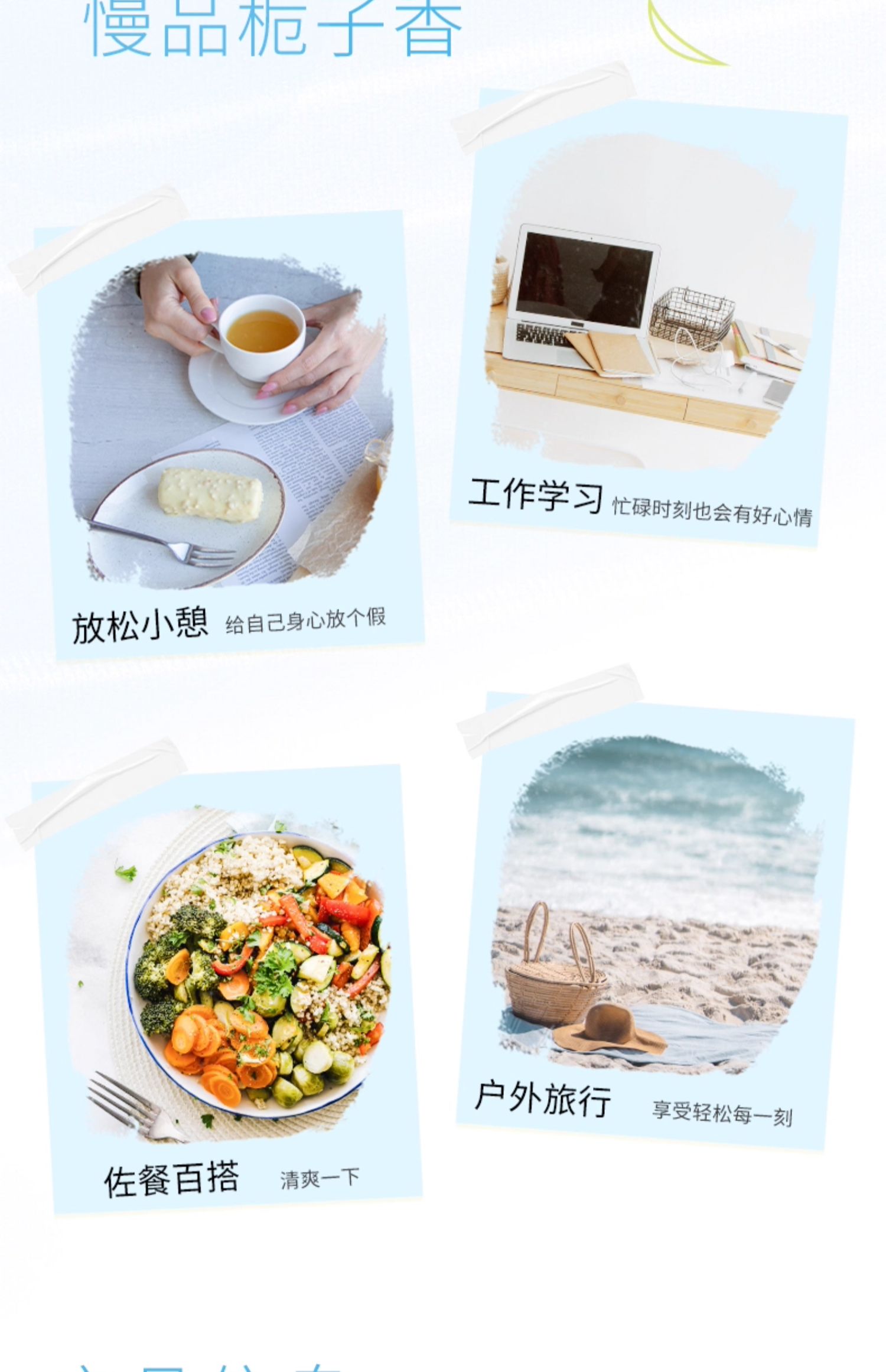 安享好物 安享A级茶饮料-三得利栀意乌龙 国标