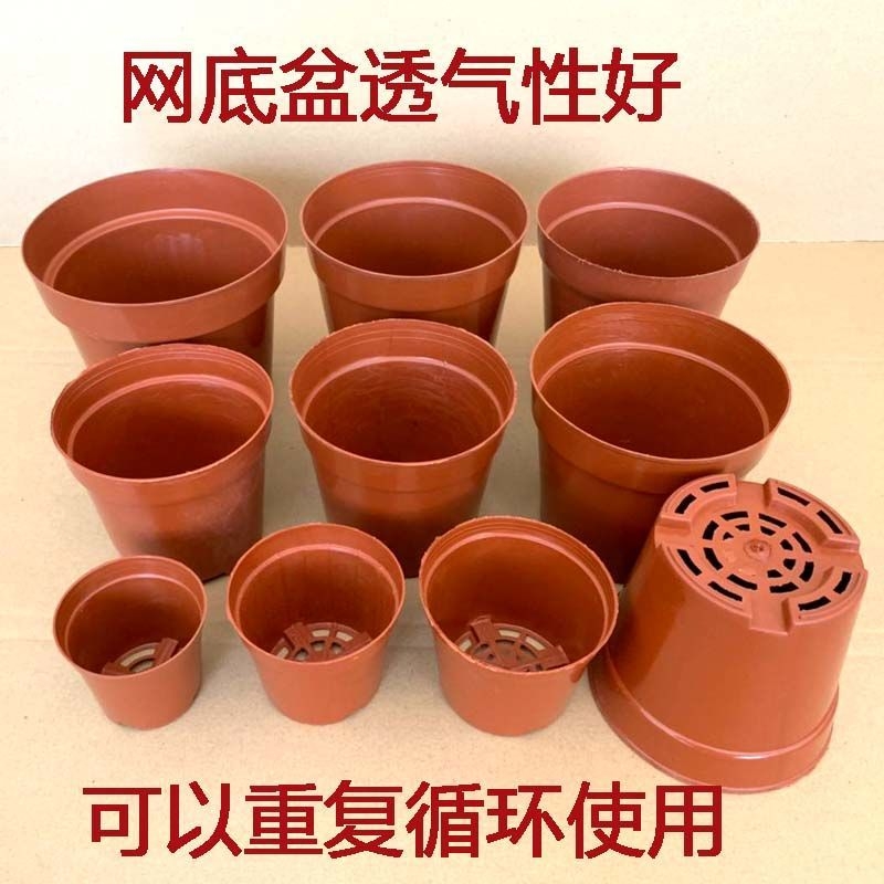 Thickened two-color pot seedling pot cup plastic disposable flower pot nutrition bowl cultivation pot nutrition cup large leaf insertion pot