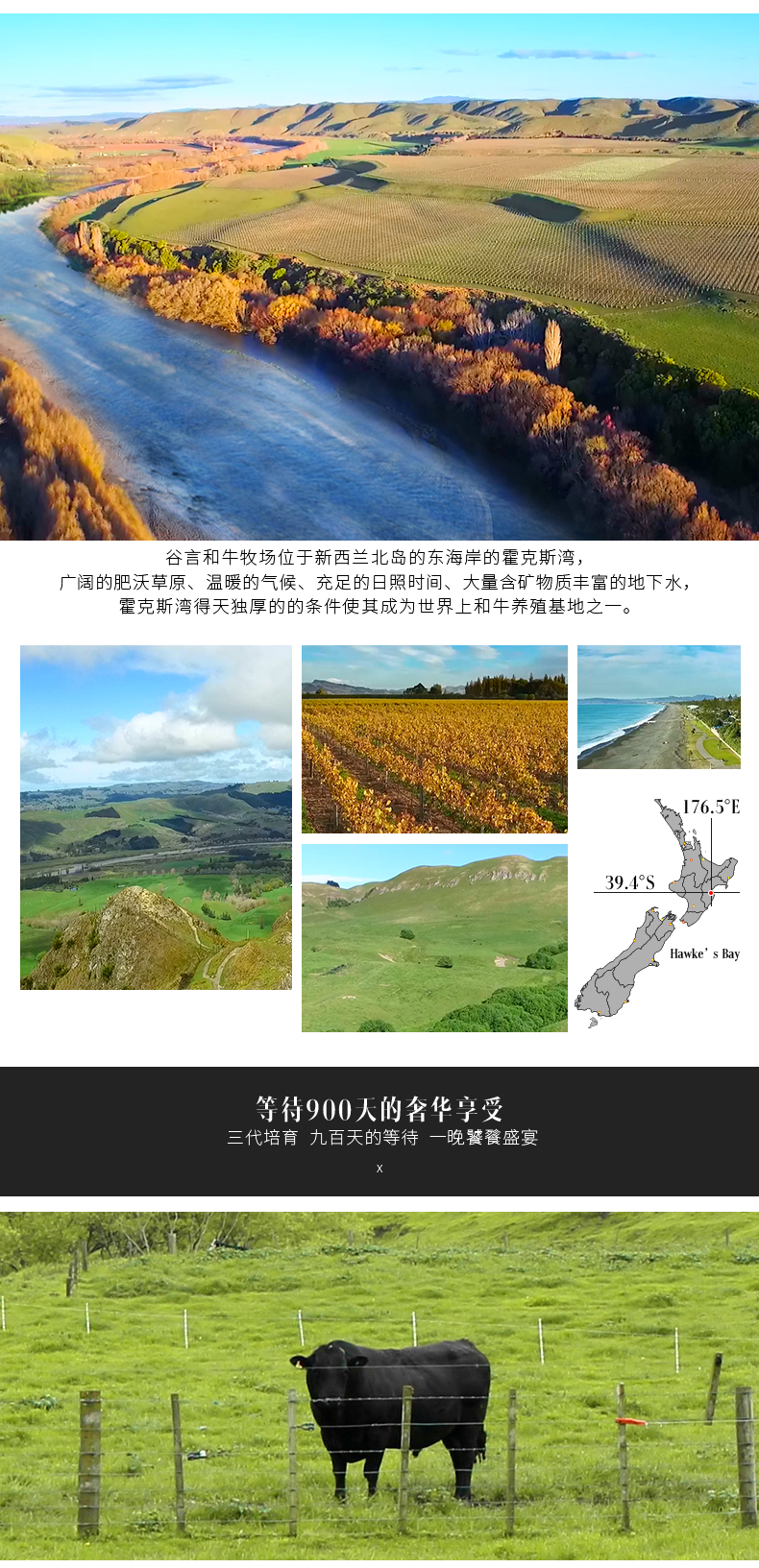 谷言 澳洲进口和牛 谷饲牛腱子 金钱腱 4斤 图2