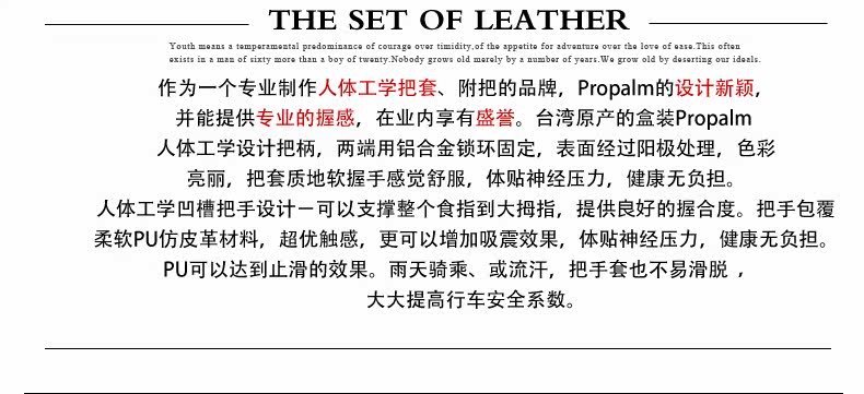 Poignées de vélo - Ref 2343043 Image 24