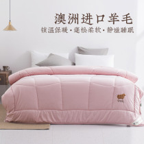 Yuanmeng wool double-layer temperature-locking four-season quilt wool quilt spring and autumn quilt 1 5 meters 2 meters comfortable and warm quilt core