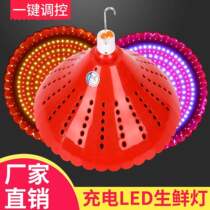 2021 new 2021 rechargeable fresh lamp pork fruit cooked food marinated meat marinated vegetables special night market stall lighting stop