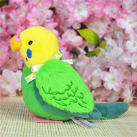 Зеленый попугай