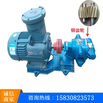 Explosion-proof pump gear oil pump (copper wheel) gear pump gasoline and diesel pump