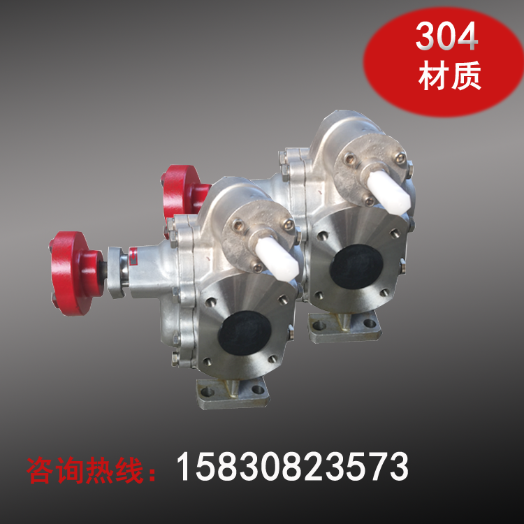 Stainless steel gear pump KCB-200 stainless steel pump corrosion resistant pump (304) set with motor