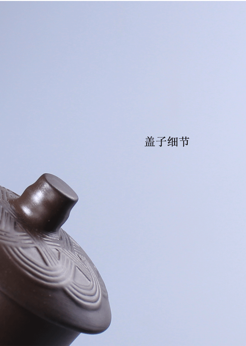 Ceramic teapot tea violet arenaceous single pot of household contracted and I kung fu tea set a single teapot creative tea