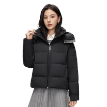 Flying in the Snow 2024 Autumn and Winter New Womens Short Hooded Down Jacket Fashionable Design Magnetic Buckle Windproof and Warm