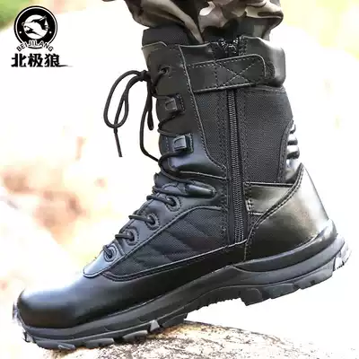 Arctic wolf summer high-barrel combat boots Male special forces zipper military boots Outdoor tactical desert mountaineering marine boots