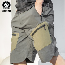 Arctic Wolf summer overalls mens pants casual wear-resistant cotton shorts multi-pocket straight tube military fan training tactical pants