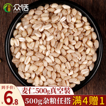 Farm wheat kernels Peeled and peeled wheat grains Wheat kernels Mai Ren rice porridge ingredients Porridge with grains New wheat kernels 500g
