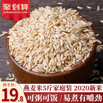 Zhongtian Oatmeal rice whole grains big wheat grains whole grains wheat kernels raw oatmeal kernels germ rice 5 kg farmer