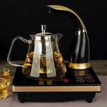 Brand induction cookers special pot multifunction cooking teapot stainless steel filter heat resistant glass burning kettle wellness pot