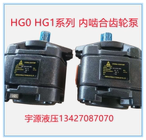 Internal meshing gear pump high-pressure oil pump HG0-8 10 13 13 20 20 25 HG1-32 40-01R-VPC