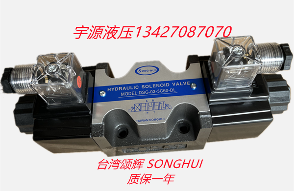 DSG-03-3C60-DL DSG-03-3C60-LW A220 DC24 Taiwan hydraulic solenoid valve SONGHUI