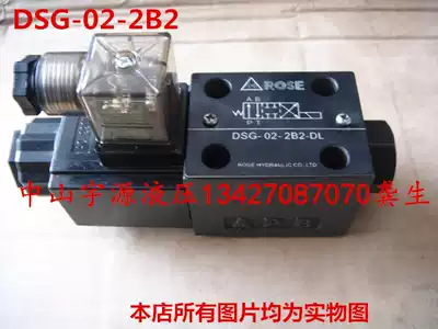 DSG-02-2B2-DL Hydraulic solenoid valve 02-3C2 3C3 3C4 3C62B3B-DL DC24 AC220