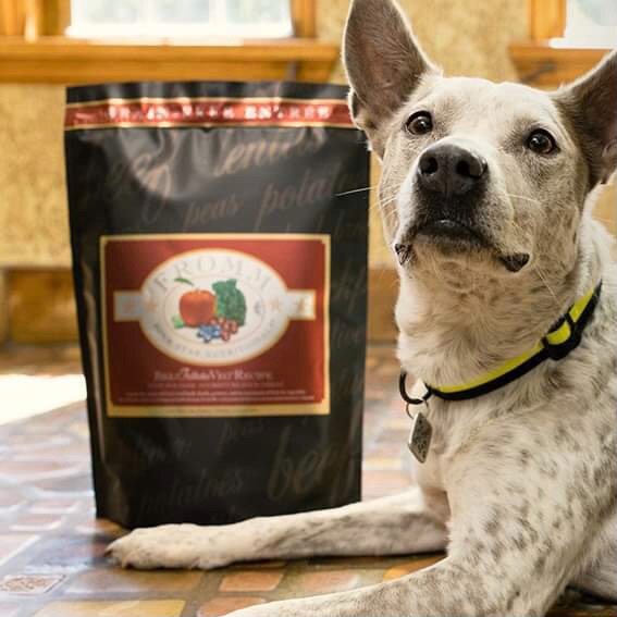 Mew Society Fromm Fuma Salmon and Duck Sweet Poultry Poultry No Grain Dog Food Food