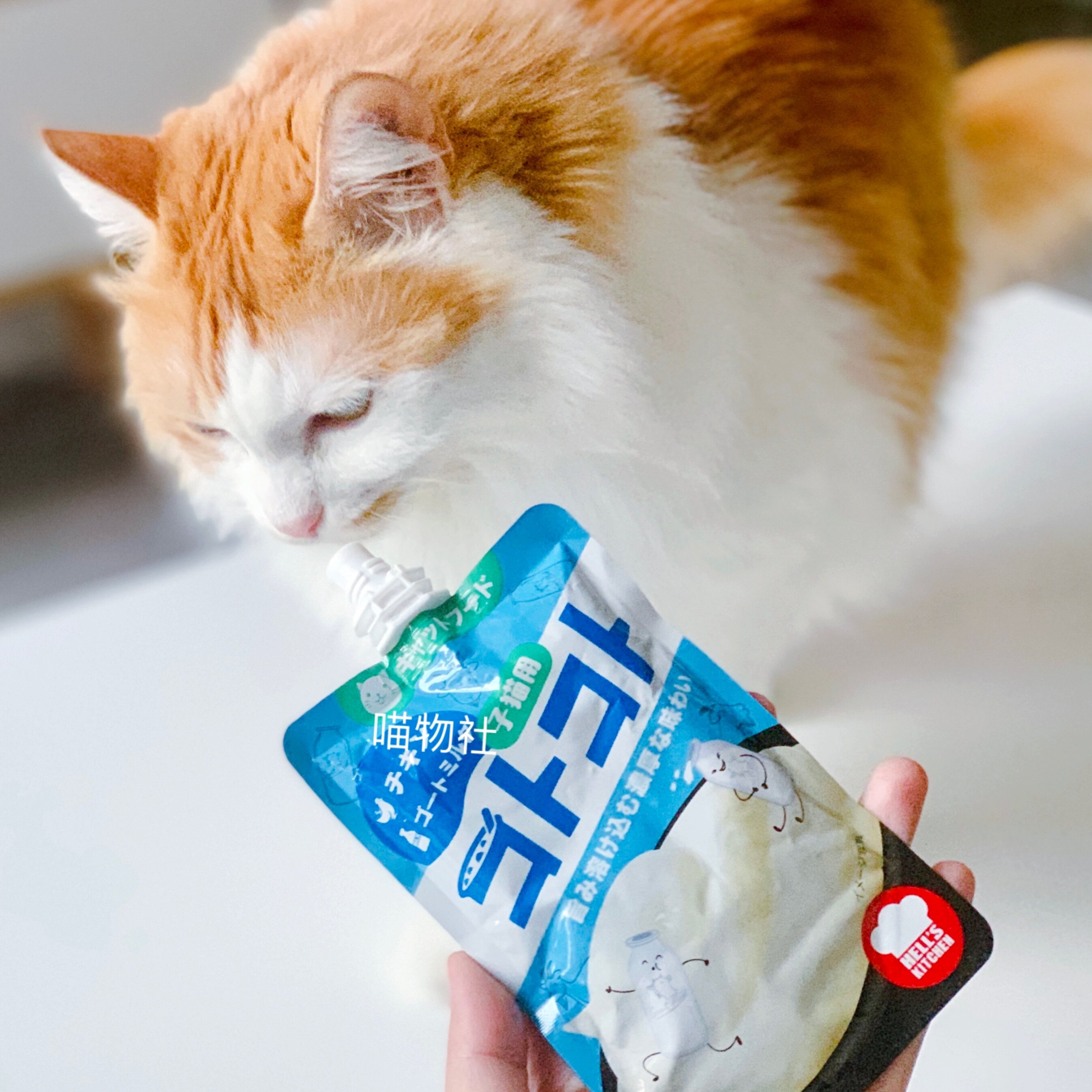 Mew Society Japanese Hell Kitchen Golls Kitchen liquid snack into cat wet grain 100g