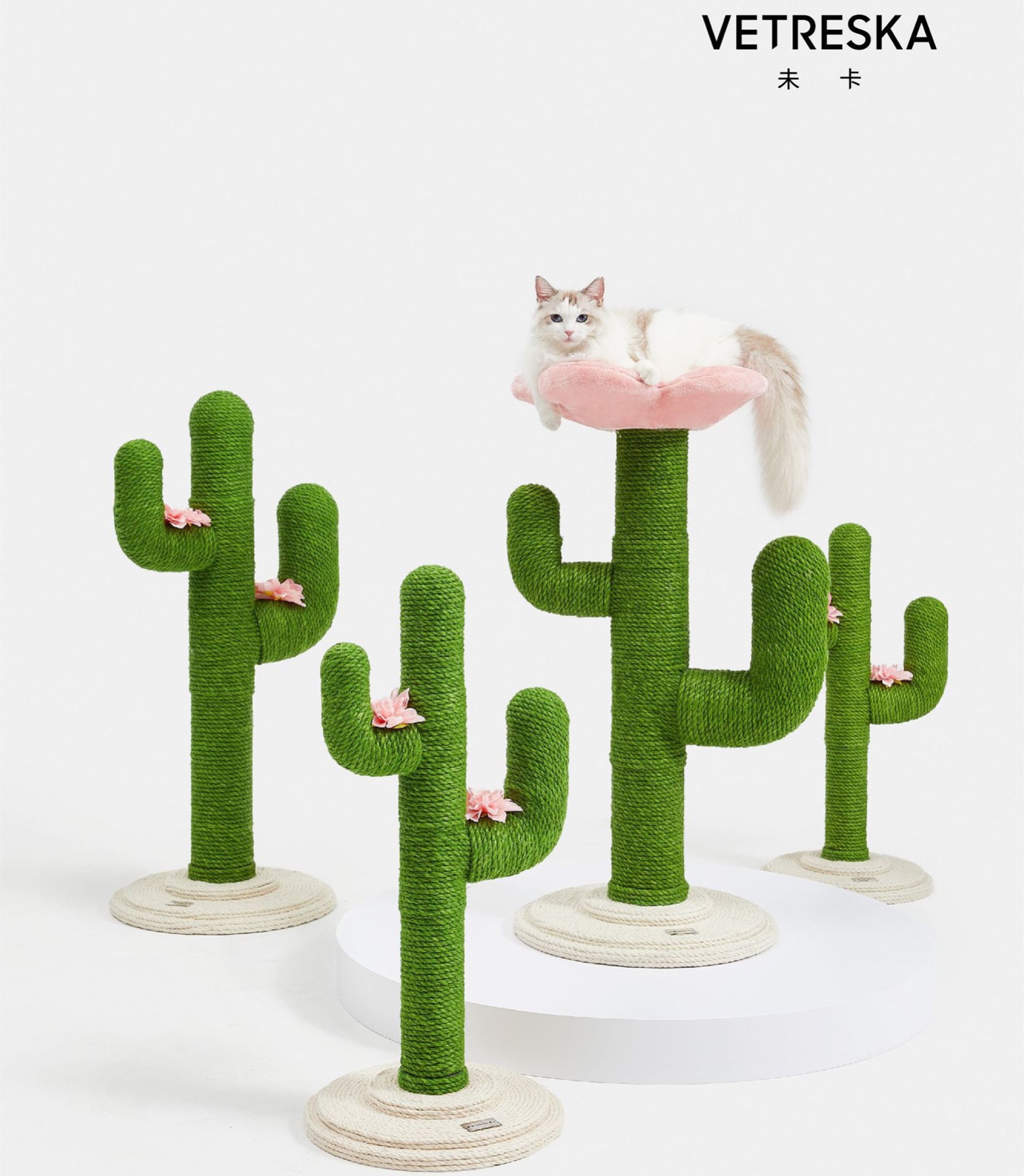 Cactus cat crawling cat crawling column sword and cat grabbing board large solid wooden cat jumps