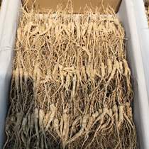 Changbai Mountain Ginseng Dried Goods 250g 500g (price is subject to the actual product)