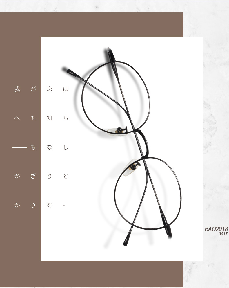 Montures de lunettes      en Titane pur - Ref 3140562 Image 18