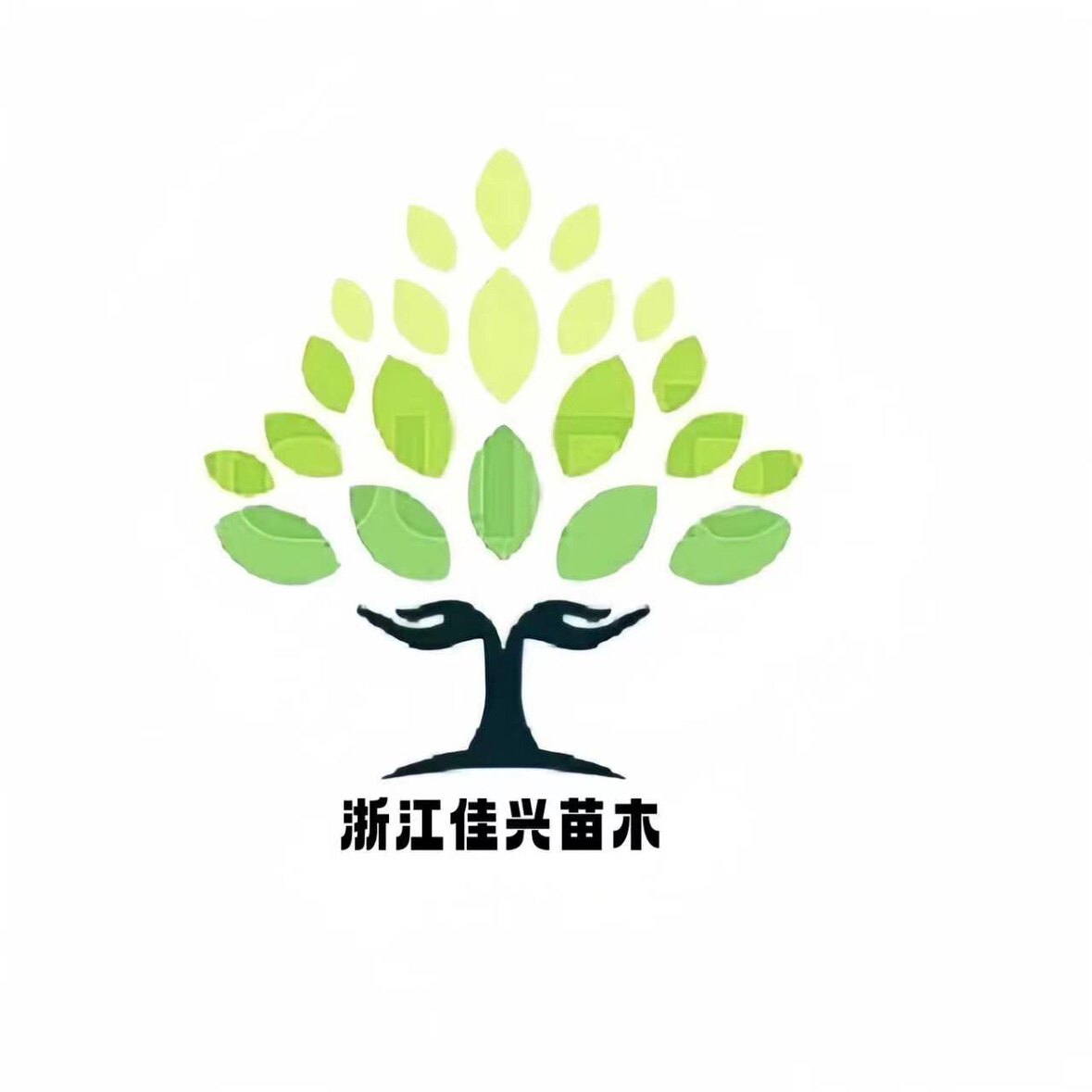 浙江佳兴果树苗木基地直销