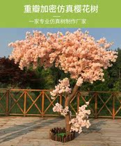 Flowers Outdoor Petals Plastic Flowers Active Stores Fake Flowers Trees Emulated Cherry Blossom Trees Indoor Decoration Background Walnuts