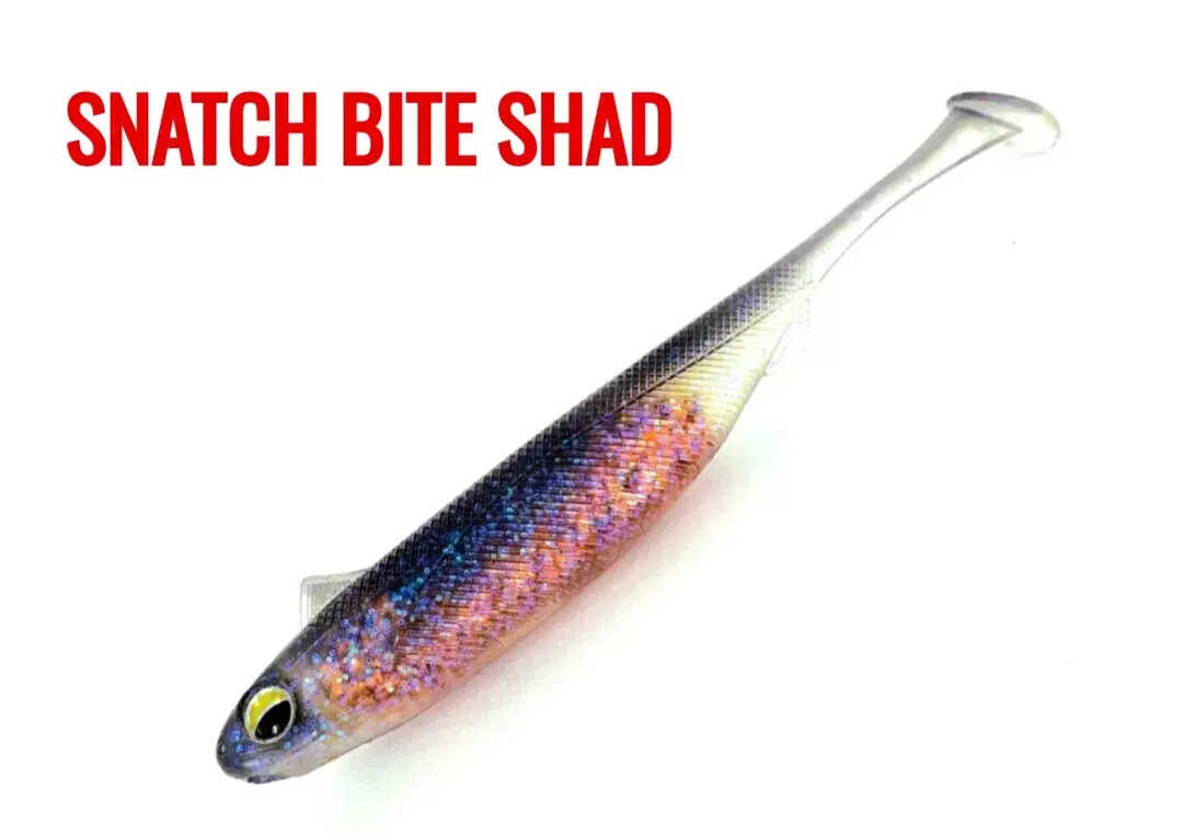 小魚のシミュレーション T字型テール 魚型ソフトベイト 淡水マンダリンフィッシュ 上向き口マンダリンフィッシュ 特殊ベイト ソフトワーム ルアー ソフトフィッシュ