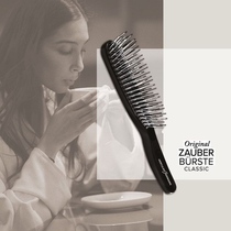 Hegeli) Airbag Air Cushion Massage Magic Comb Princess German Hercules S gemann