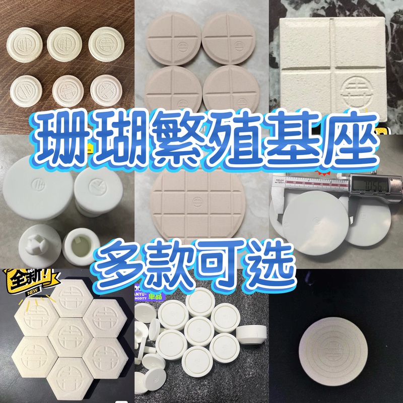 Coral Propagation Base Hexagonal Square Round Ceramic Base Sps Coral Fragment Base Propagation Base