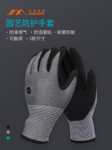 Gardening gloves anti-slip anti-puncture anti-cut wear-resistant anti-puncture multi-functional breathable labor protection thickened gloves