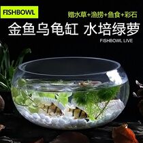 Creative aquarium Ecological round glass goldfish tank Large turtle tank Mini small landscaping hydroponic vase